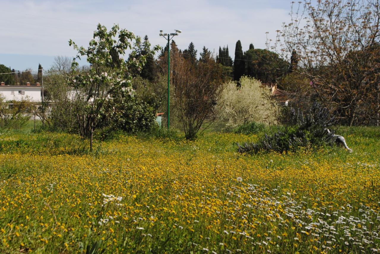 Fattoria Di Malavolta Florença