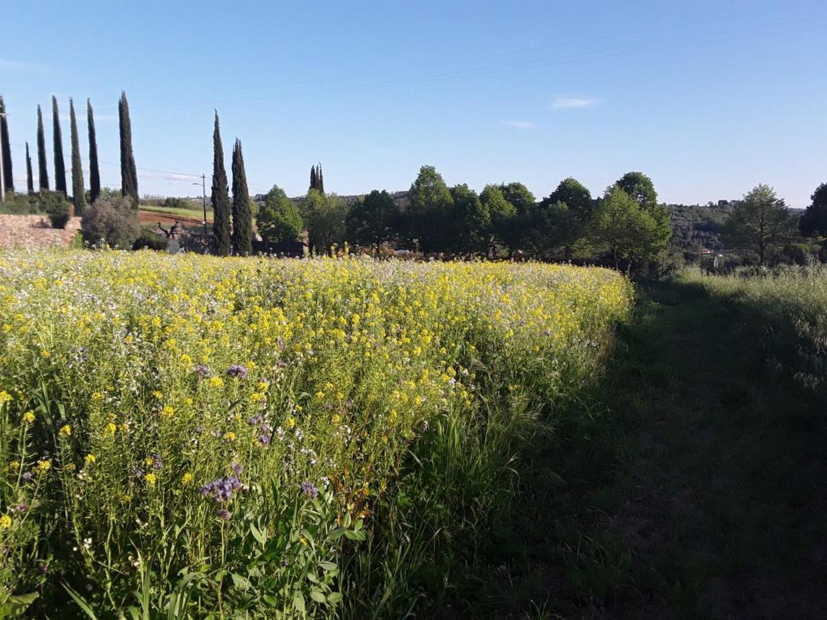 Fattoria Di Malavolta Apartamento