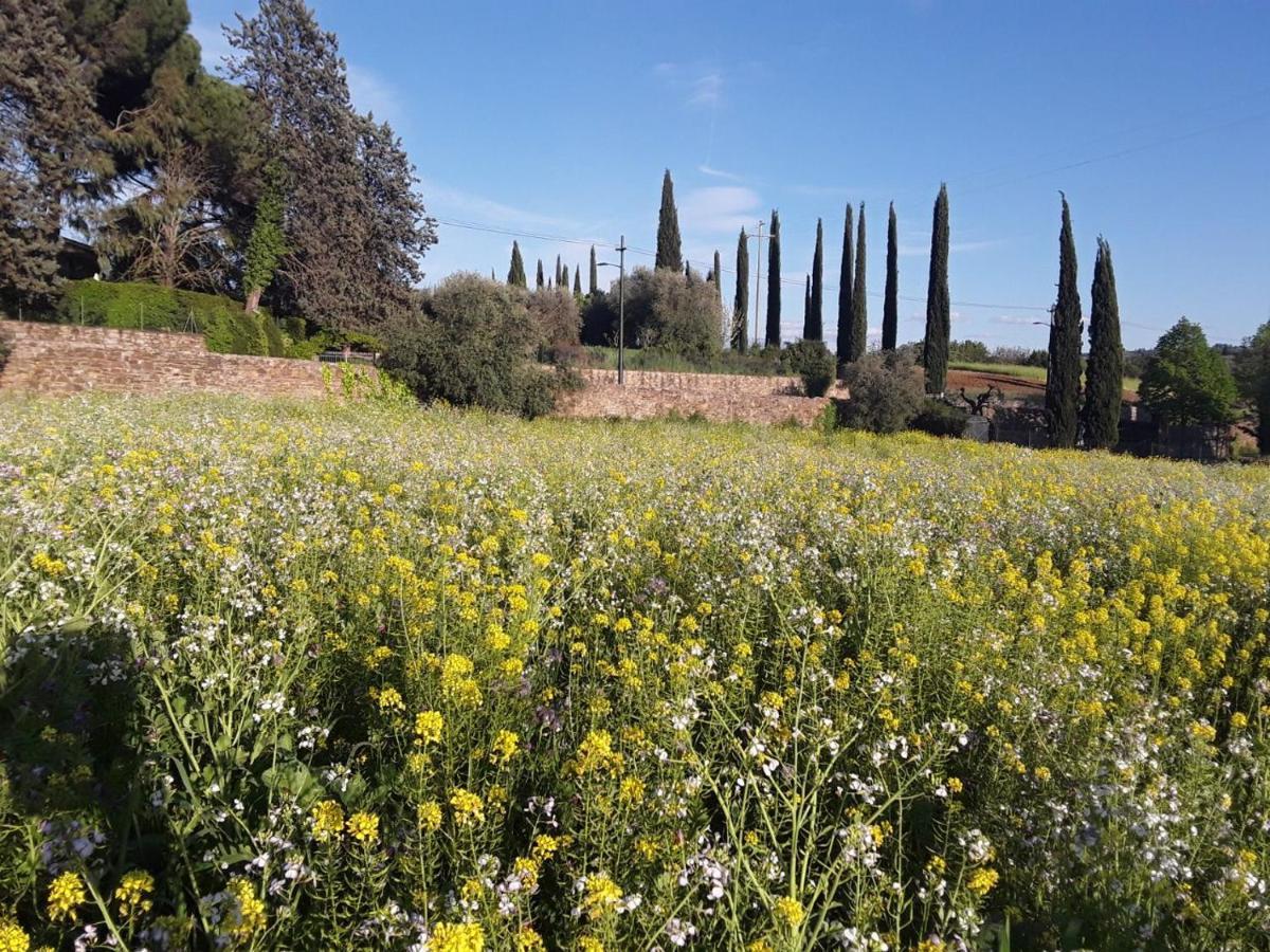 Apartamento Fattoria Di Malavolta